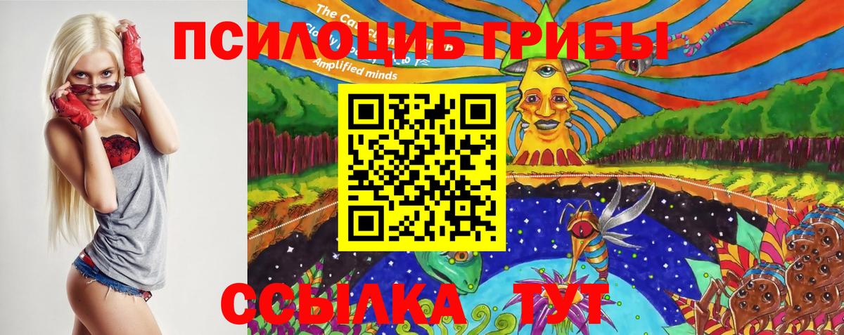 Электрогорск  Галлюциногенные грибы Cubensis  Вход с VPN 